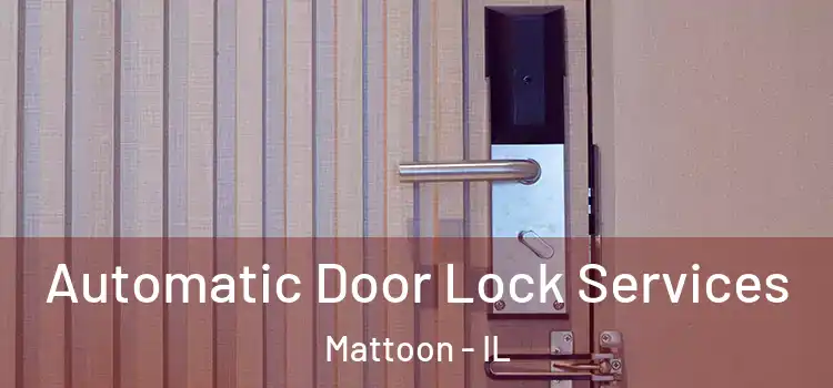 Automatic Door Lock Services Mattoon - IL