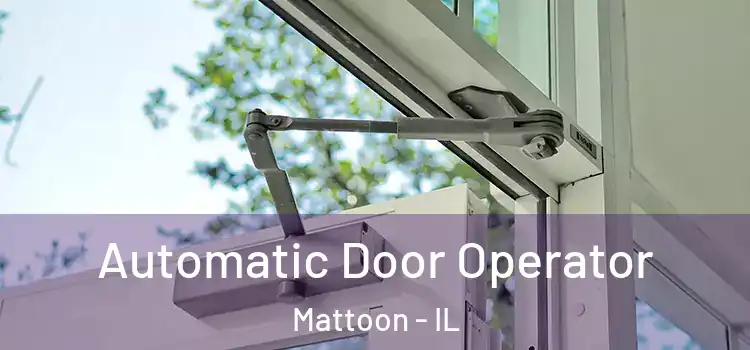 Automatic Door Operator Mattoon - IL