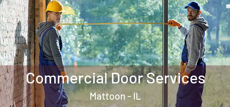 Commercial Door Services Mattoon - IL