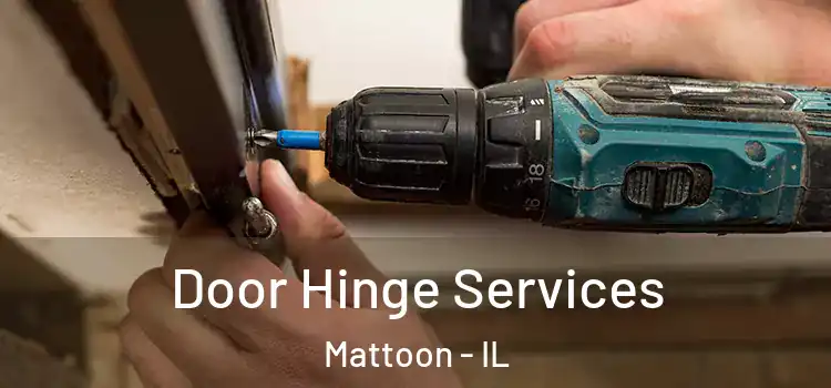 Door Hinge Services Mattoon - IL