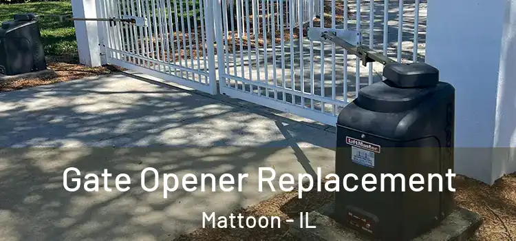 Gate Opener Replacement Mattoon - IL
