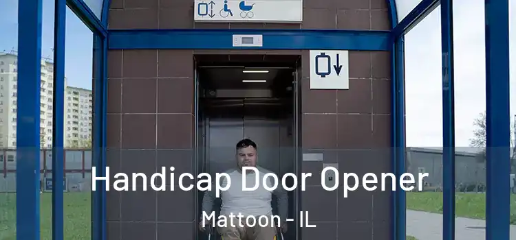 Handicap Door Opener Mattoon - IL