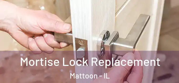 Mortise Lock Replacement Mattoon - IL