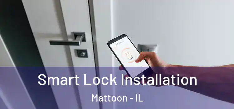 Smart Lock Installation Mattoon - IL