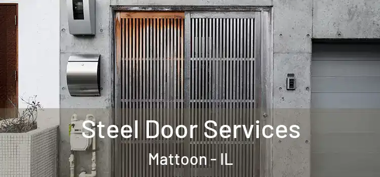 Steel Door Services Mattoon - IL